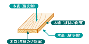 木表、木裏、木端、木口